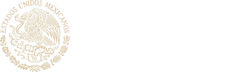 Gobierno de mexico